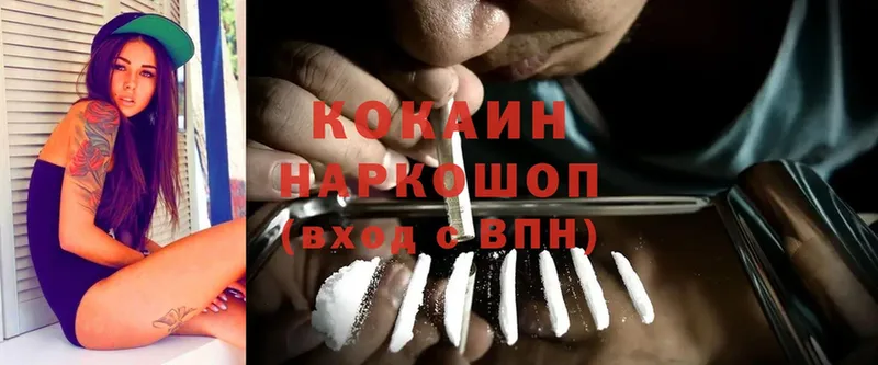 наркошоп  Жердевка  Cocaine FishScale 