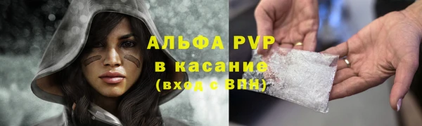 прущие грибы Балахна